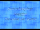 Watch this video!